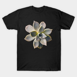 Stone flower T-Shirt
